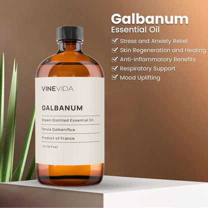 VINEVIDA Galbanum Essential Oil 16 oz - Undiluted, DIY Candle Scents, Bulk for Soap Making & Skin Safe