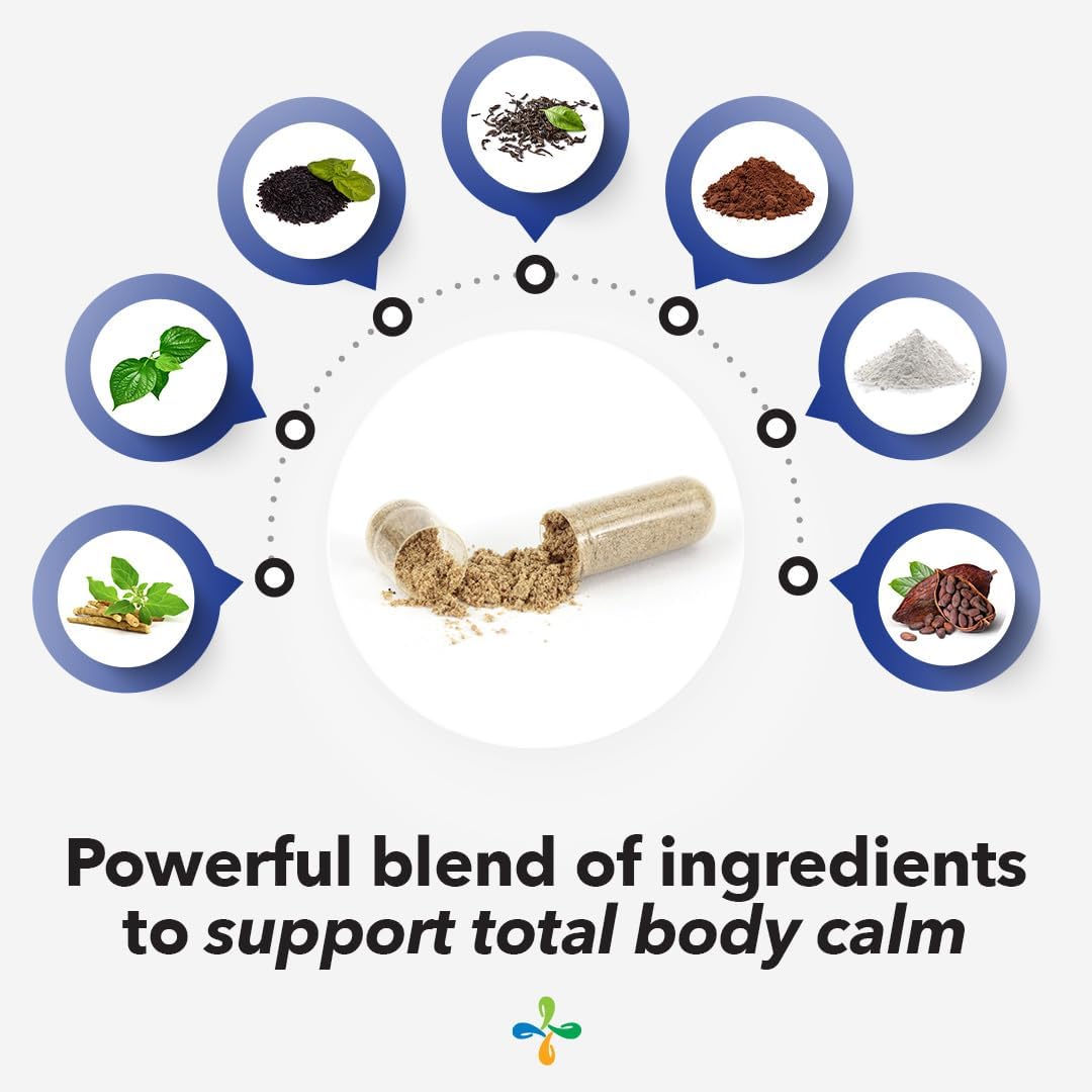 Anxie-T Plus - Extra Strength Stress Relief Supplement - Supports Mood & Mental Focus - Feel Calm and Relaxed - Eases Tension & Nervousness - Ashwagandha, Kava Kava, GABA & L-Theanine - 60 Capsules