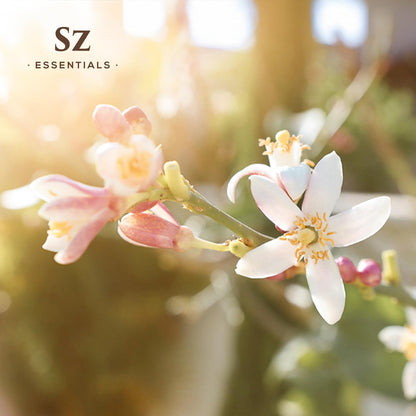 Daidai Blossom Essential Oil - 100% Pure and Undiluted Neroli-Daidai - Citrus Aurantium cv Daidai - Floral & Citrusy Scent with Oriental Overtones - Therapeutic Grade & Vegan - 0.17oz