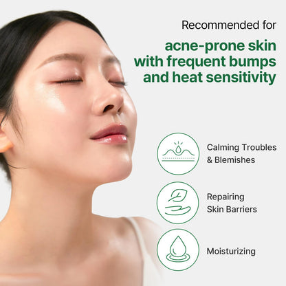 Mugwort Super Calming Toner - Korean Hydrating Toner for face, Purifying Mugwort Essence, Soothing, Calming, Refreshing Facial Toner for Oily, Dry, and Sensitive Skin, Daily Skin Care, 8.45 fl.oz