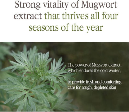 [PKY] Pyunkang Yul Black Tea Deep Infusion Toner for Anti-Aging, Rich Moisture Toner for Fine Line Care & Firmer Facial Skin, Zero-Irritation, Korean Skincare (4.39 Fl. Oz, 130ml)