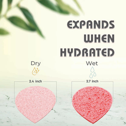 60-Count Compressed Facial Sponges | Makeup Remover Sponge | 100% Natural Cosmetic Spa Sponges for Facial Cleansing | Exfoliating Mask | Face Scrubber (Drop)