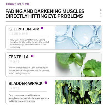 Korea Active Anti-Wrinkle Eye Cream, Pro-Xylane Anti-Aging Active Eye Cream, Active Emulsion, Fade Fine Lines around Eyes, Anti-Wrinkle, Moisturizing, Anti-Aging, Tighten and Delicate Skin