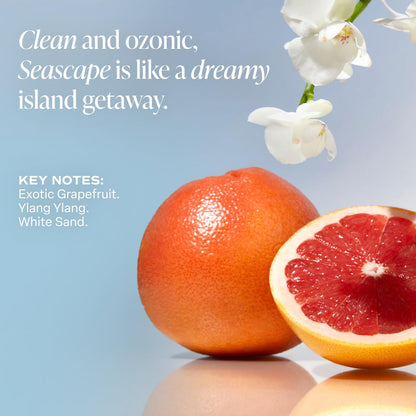 Saltair Body Mist 2 Pack - Fine Fragrance, Lightweight Body Spray Mist with Seascape Scent. Long Lasting Perfume Mist. 2x 8oz Bottles