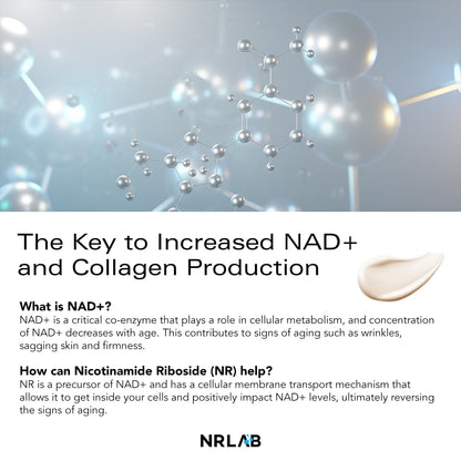 Anti-Aging Korean Serum with NR for Glass Skin– Hydrating, Anti-Aging, Firming & Brightening– Clinically Tested - K-Beauty Innovation - Korean Moisturizer – Ampoule-to-Cream Formula [1.52oz]