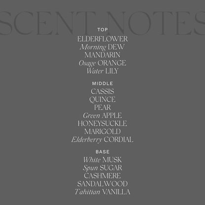 Antica Farmacista Body Moisturizer - Moisturizing Scented Lotion - Premium Body Moisturizer - Luxury Gift for Women & Men - Hand & Skin Hydration - Elderflower, 10 Fl Oz