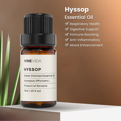 VINEVIDA Hyssop Essential Oil 10 mL - Undiluted Hyssop Oil 10 mL - Hyssop - DIY Candle Scents for Candlemaking - 10 mL Essential Oil for Soap Making Safe for Skin (4OZV-OBP-HYS-SOP-10ML)