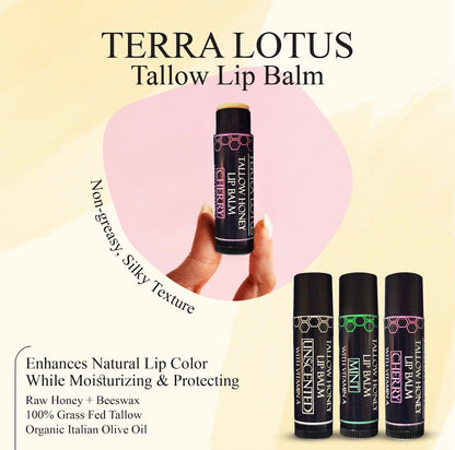 Tallow Lip Balm (5 Pack) - Hydrating With Organic Italian Olive Oil, Pure Grass Fed Tallow, and Beeswax - Long Lasting Lip Therapy (Unscented)