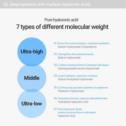 ROVECTIN Aqua Hyaluronic Essence (Activating Treatment Lotion) - 7 Layers Hyaluronic Acid Facial Toner with Niacinamide & Panthenol, Vegan Korean Skin Care (6.08 fl.oz)