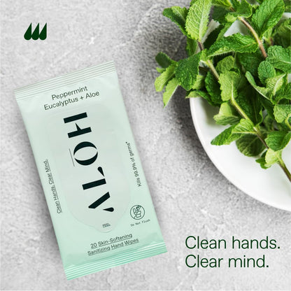 ALŌH Peppermint Eucalyptus Sanitizing Hand Wipes - Clean Hands, Clear Mind On The Go Sanitizer for Kids and Adults - Travel Size 6 packs of 20ct Wipes (120 Wipes)