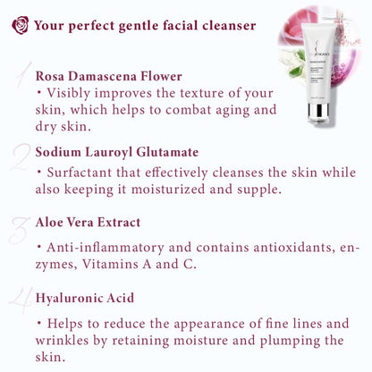 Gentle Foaming Cleanser Daily Face Wash for Unisex Amino Acids Sensitivity-free Perfectly Clean Suitable for All Skin Types, 3.5 Fl Oz