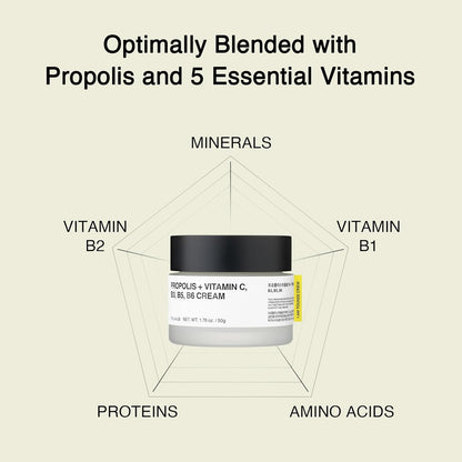 TOUN28 Propolis Vitamin C & B Complex Cream 1.76 oz (50g) | Moisturize, Nourish & Strengthen Skin Barrier with Propolis Extract| Korean Skincare for Sensitive Skin