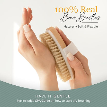 Premium dry brushing body brush