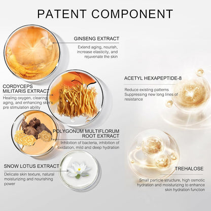 Condensing Beauty Nine-Pieces Skin Care Set kit Women Beauty Gift with Cleanser, Toner, Serum, Lotion, Eye Cream, Face Cream, BB Cream for Birthday, Christmas Day and Valentine's Day