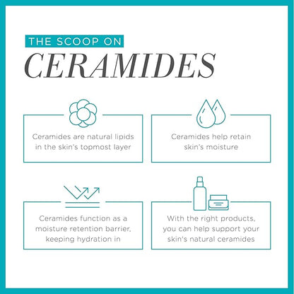 Curel japanese skin care moisturizer