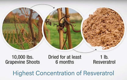 M. asam resveratrol premium nt50