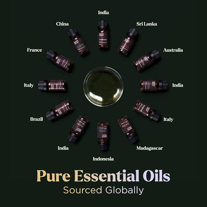 Lagunamoon Essential Oils Set - 12 Piece Premium Grade Home Essentials Oils - for Diffusers, Fragrance, Scents for Candle Making - Natural Aromatherapy Oils for Cars & Home Products, Room Sprays