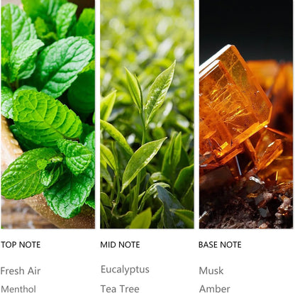 Luxury Waterless Diffuser Oil Infinity, Essential Scent Oil Usage Cold Air Waterless Diffuser, Scents Oils for Home Bottle120 ML Natural Flavour