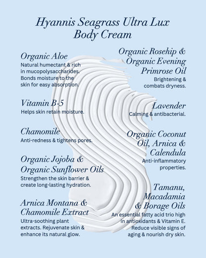 Hines+Young Travel Tins Gift Set - 4 oz Body Cream, 2 oz Linen Spray, Natural Lip Balm - Skin Care and Refreshing Home Fragrance, Ideal Self-Care Gift Set (Pack of 3, Hyannis Seagrass)