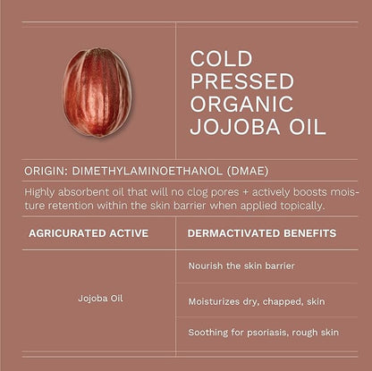 Antioxidant Moisturizing Night Cream with