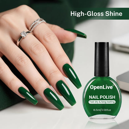 16.5ml Dark Green Nail Polish Large Volume Quick Dry Nail Polish, Long Lasting Shine, Fingernail Toenail Nail Art DIY Home Travel Nail Art Gift