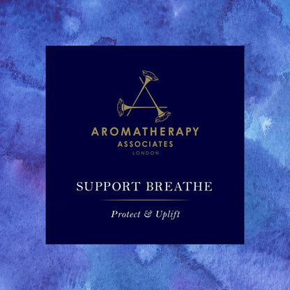 Aera Mini Support Breathe Aromatherapy Essential Oil Home Fragrance Scent Refill - Notes of Eucalyptus, Tea Tree and Pine - Works with The Aera Mini Diffuser, Mini Scent Capsule Size