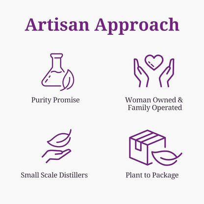 Aromatics International Ginger Hydrosol 100ml | Warm Aromatic Spray for Daily Use