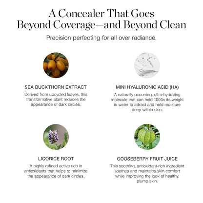 Ogee Complexion Perfecting Under Eye Concealer - Certified Organic Full Coverage Concealer - Buildable Coverage - BEECH 0.05N - Very Light (Neutral Undertones)