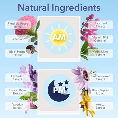 Jet Lag AM & PM Travel Patches – Natural Day & Night Support for Travelers – Energy, Focus & Restful Sleep – with B12, Rhodiola, Valerian, Lemon Balm, Lavender & More – 8 Topical Patches