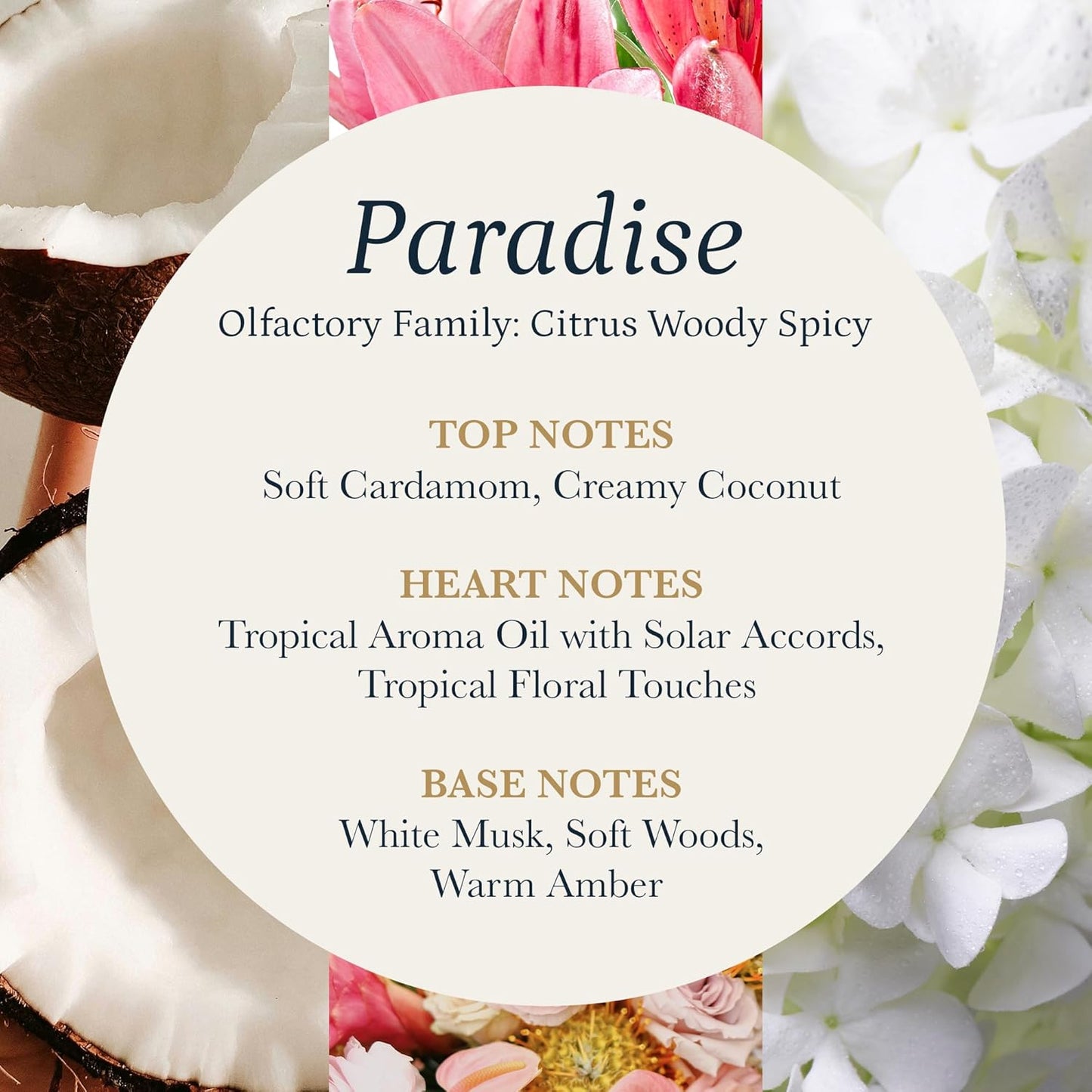 PuroSentido Paradise Tropical Aroma Oil (10 ml) - Luxury Essential & Fragrance Oil for Diffusers and Humidifiers, Creamy Coconut, Floral Notes & Soft Woods Home & Hotel Scent