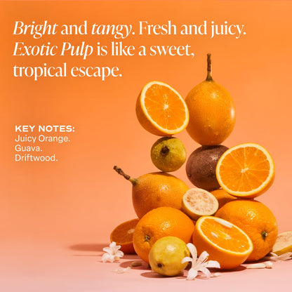 Saltair Body Mist 2 Pack - Fine Fragrance, Lightweight Body Spray Mist with Exotic Pulp Scent. Long Lasting Perfume Mist. 2x 8oz Bottles