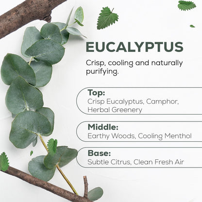 Aroma Country 100% Pure Eucalyptus Essential Oil – Organic & Undiluted Diffuser Oil, Humidifier, Steam Room & Shower Aromatherapy – Natural, Therapeutic Grade Oil for Skin, Sauna, & Home (4 Fl. oz)