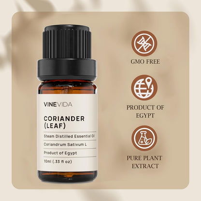 VINEVIDA Coriander Essential Oil - Undiluted Leaf Oil - Candle Oil Scent - DIY Candle Scents - 10 mL for Soap Making