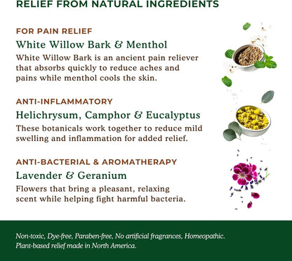 Nature's Willow Natural Pain Relief Patches for Muscles & Joints | Fast-Acting with White Willow Bark | Free from Artificial Fragrances & Dyes | 6 Patches (1-Pack)
