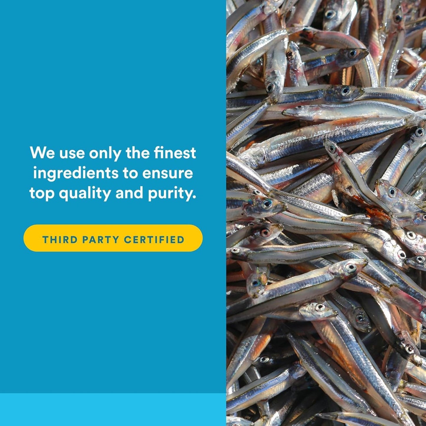 Natural Factors RxOmega-3 Ultra Strength Fish Oil with Vitamin D3, High Potency Formula, 2,150 mg, No Fishy Aftertaste, 60 Softgels