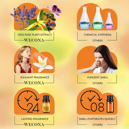 Citrus Essential Oils Set for Diffuser - 6x10ml Aromatherapy Oils Including Bergamot, Lemon, Grapefruit, Lime, Lemongrass, and Citrus Bloom - Essential Oils for Diffuser Use at Home or Office