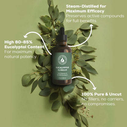 Aroma Country 100% Pure Eucalyptus Essential Oil – Organic & Undiluted Diffuser Oil, Humidifier, Steam Room & Shower Aromatherapy – Natural, Therapeutic Grade Oil for Skin, Sauna, & Home (4 Fl. oz)
