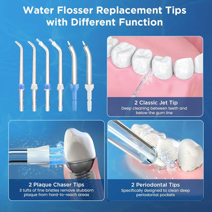 Replacement Tips for Waterpik, Water Flosser Replacement Heads Parts for Waterpik Oral Irrigator(2 Classic Jet Tips + 2 Plaque Chaser Tips + 2 Periodontal Tips + Storage Case Combo)