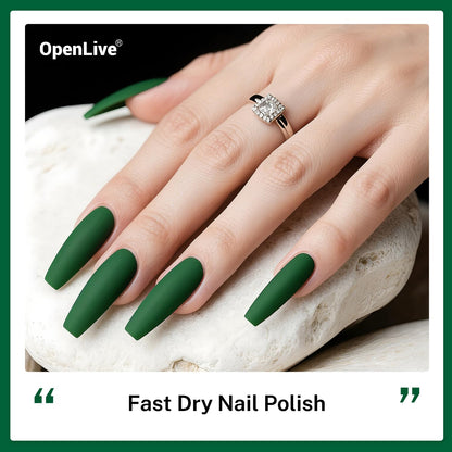 16.5ml Dark Green Nail Polish Large Volume Quick Dry Nail Polish, Long Lasting Shine, Fingernail Toenail Nail Art DIY Home Travel Nail Art Gift