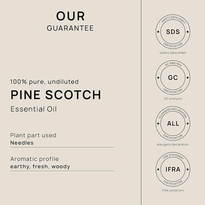VINEVIDA Pine Scotch Essential Oil - 32 oz - DIY Candle Scents & Bulk for Soap Making