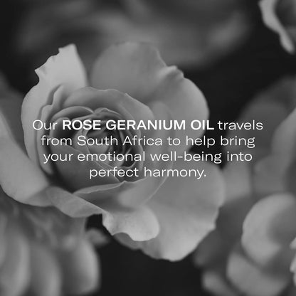 Odacité Hydrating Serum Concentrate with Pomegranate & Rose Geranium - for Hydration & Glow - Hydrating & Nourishing Anti-Aging Facial Oil Concentrate Enhance Skins Moisture Barrier - 0.17 fl. oz