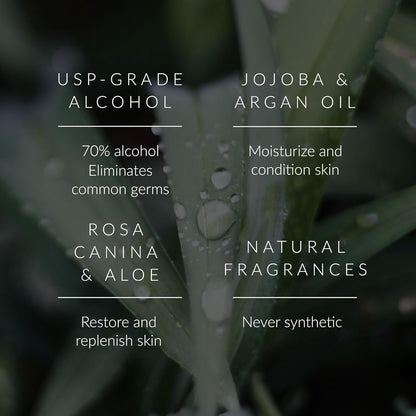 Noshinku - Refillable Hand Sanitizer Orange Coriander 3-Pack, Travel Size Spray, Hydrating Botanical Oils, Natural Ingredients, All Natural Fragrances, Sugarcane Derived Alcohol, No Parabens, No Dyes