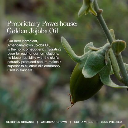 Ogee Complexion Perfecting Under Eye Concealer - Certified Organic Full Coverage Concealer - Buildable Coverage - BALSAM 5.25W - Medium Tan (Warm Undertones)