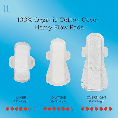 The honey pot company -