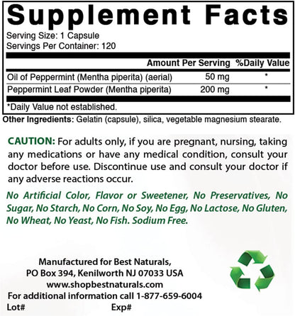 Best Naturals Peppermint Oil 250 mg 120 Capsules (120 Count (Pack of 3))