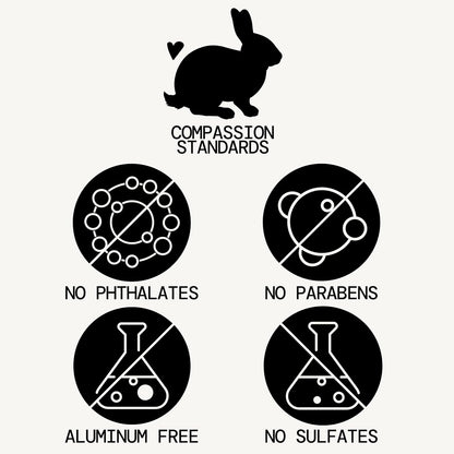 Pacifica Beauty Big Waves Coconut, Vanilla & Sea Salt Hairspray, Controls Frizz & Adds Volume, Designed for Wavy Hair, Vegan & Cruelty-Free, 6 Fl Oz