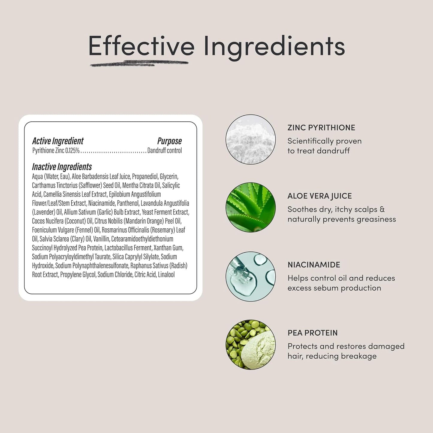 Jupiter Balancing Shampoo and Restoring Serum - Anti Dandruff Shampoo & Serum for Flaky, Itchy, Oily, & Dry Scalp - Nourishes Scalp, Reduces Breakage & Flakes - Color-Safe, Sulfate-Free, Paraben-Free