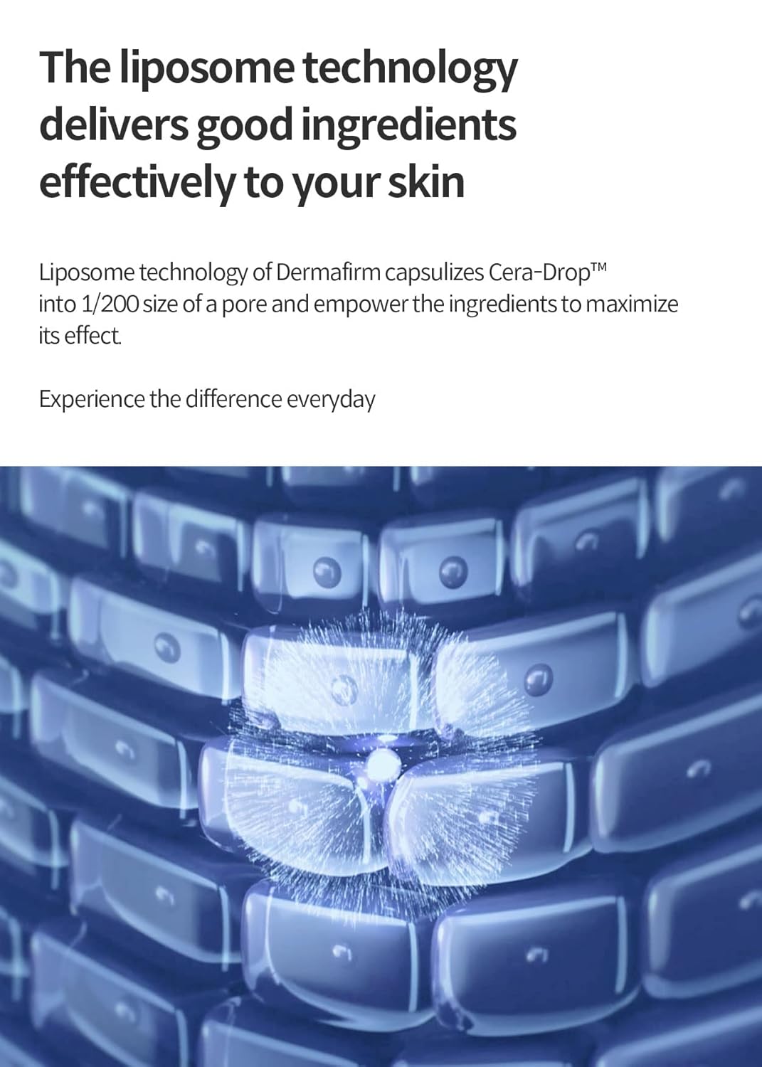 Dermafirm Moist Barrier Intensive Moisturizer Face Cream M4 | Korean Face Moisturizer Face Lotion for Hydration & Nourishment w/Ceramide, Peptide & Collagen | No Animal Trials No Paraben 1.69 fl oz