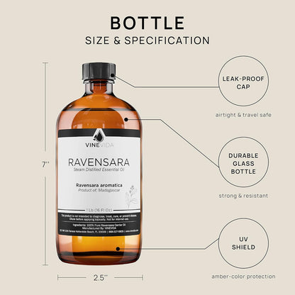 VINEVIDA Ravensara Essential Oil 16 oz - Undiluted Ravensara Oil 16 oz - Ravensara Candle Oil Scent - DIY Candle Scents for Candlemaking - Bulk Essential Oil for Soap Making Safe for Skin