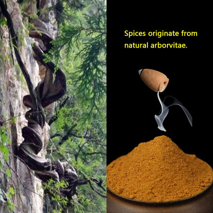 600 pcs Backflow Incense Cones for Waterfall Mixed Natural Scents Cone Incense for Meditation Relax in 2 Bottles